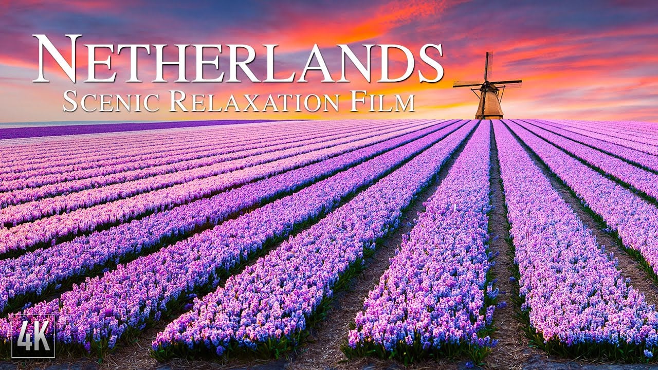 Netherlands 4K Relaxation Film | Aerial Drone 4K Holland & Amsterdam | Dutch Landscape & Chill Music