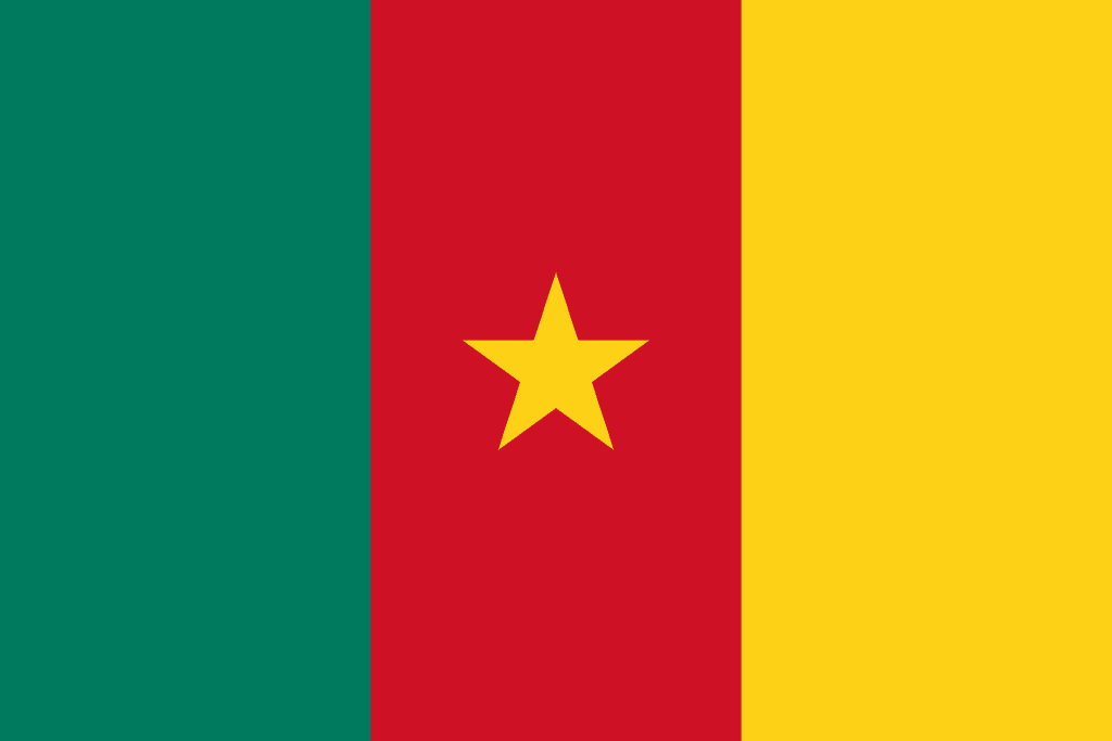Cameroon Flag - Drone Laws in Cameroon