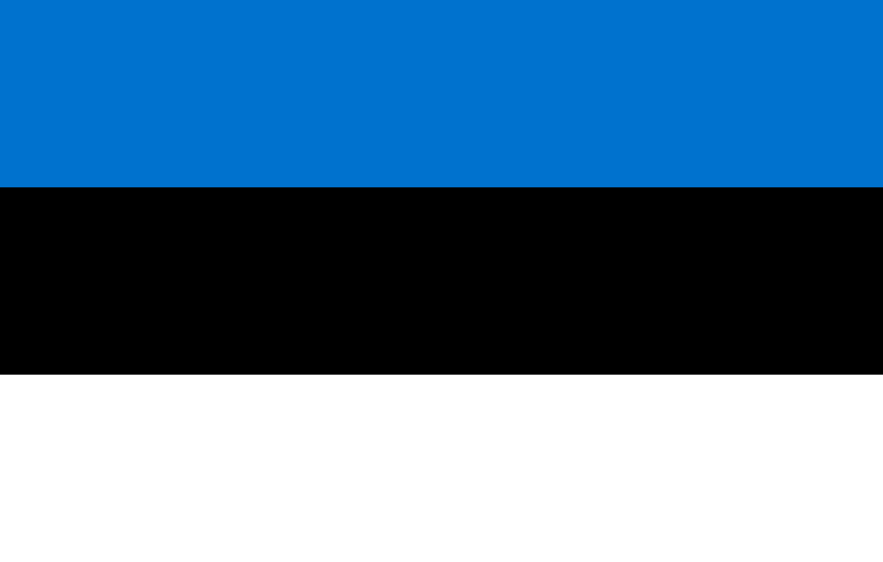 Estonia Flag - Estonia Drone Laws