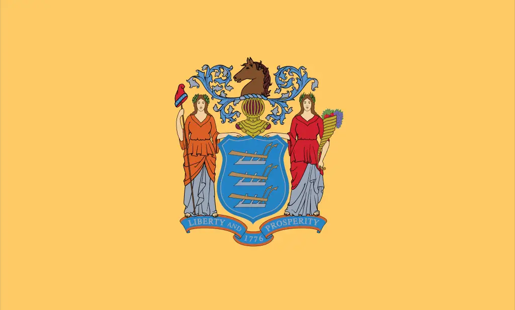 New Jersey Flag - New Jersey Drone Laws