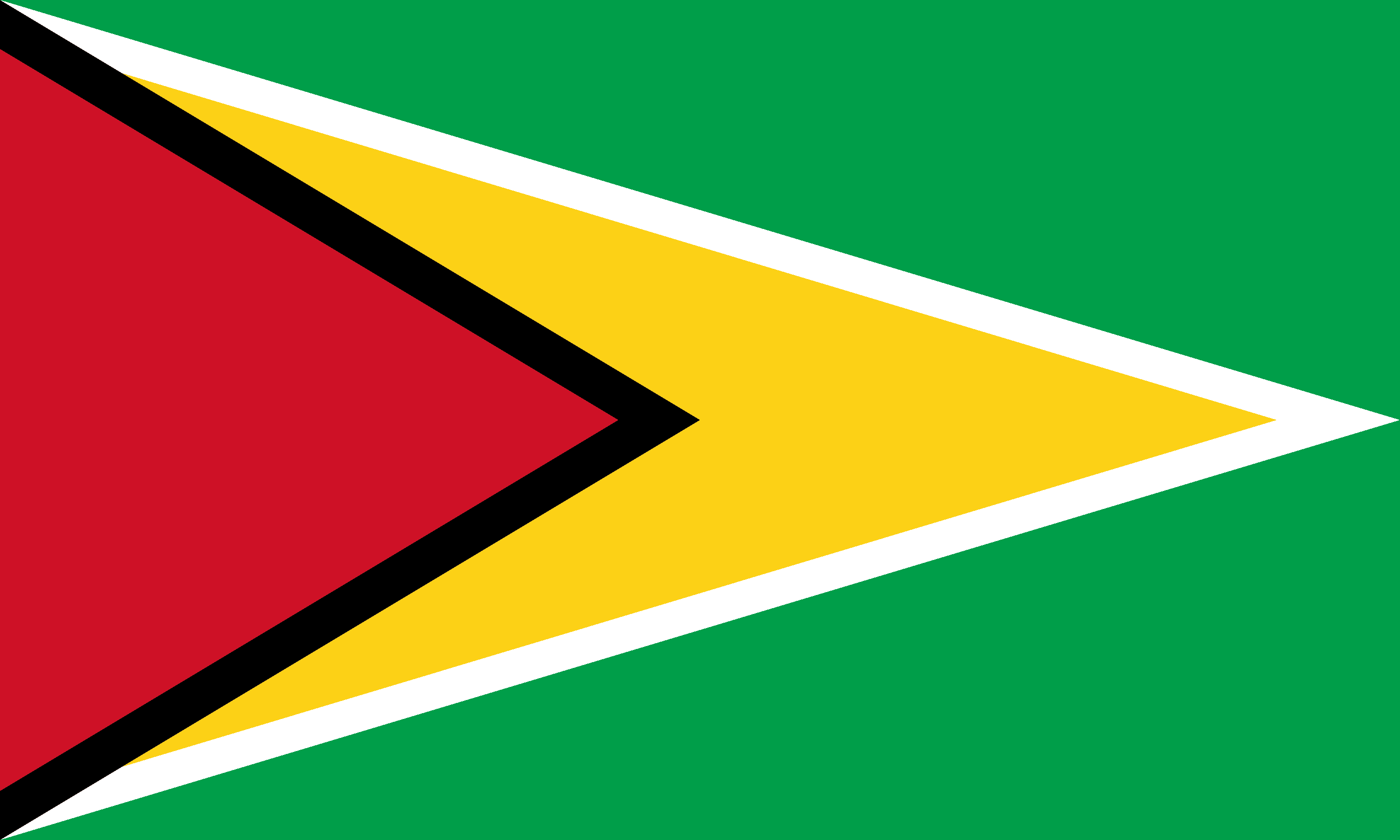 Guyana Flag - Guyana Drone Laws