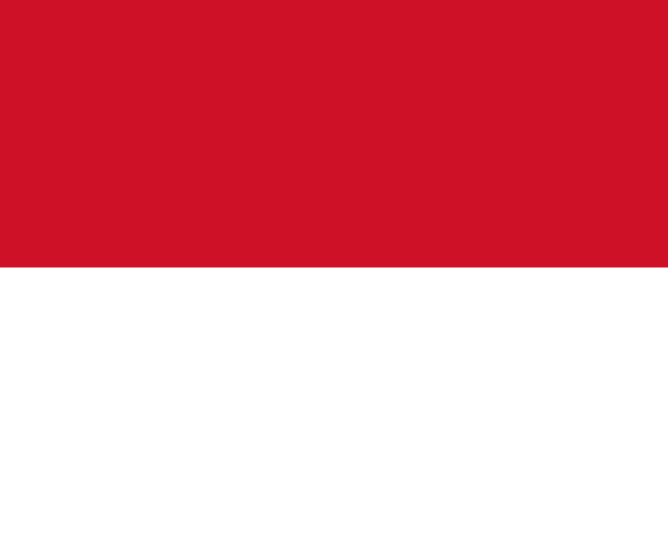 Monaco Flag - Monaco Drone Laws