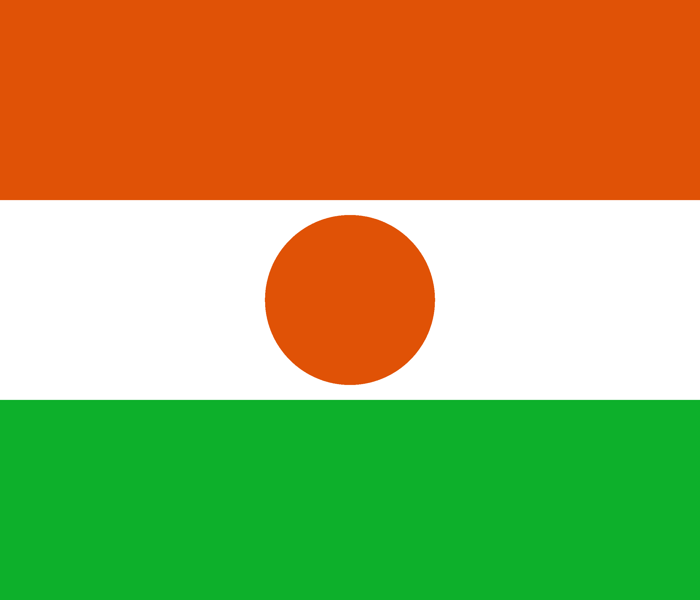 Republic of the Niger Flag - Niger Drone Laws