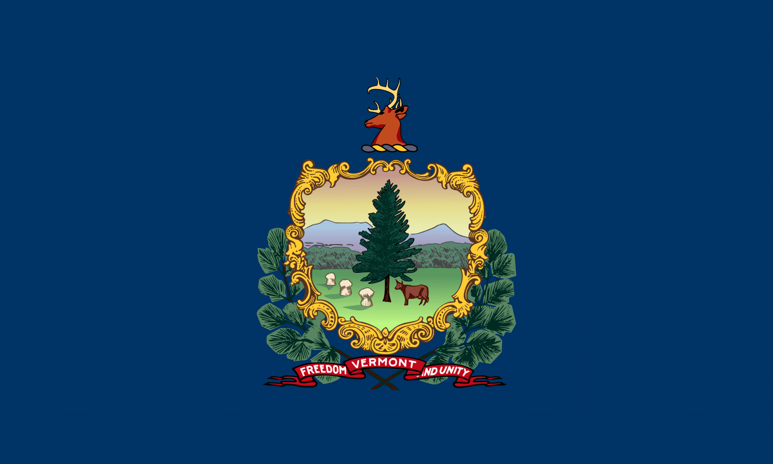 Drone Laws in Vermont [Updated January 3, 2024]