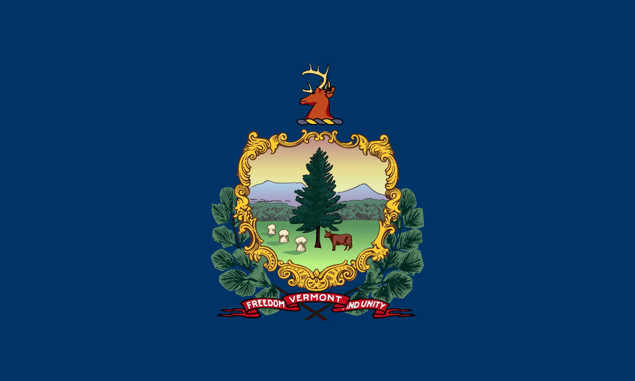 drone-laws-in-vermont-updated-january-3-2024